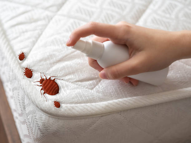 Best Cockroach Control  in Ulysses, KS